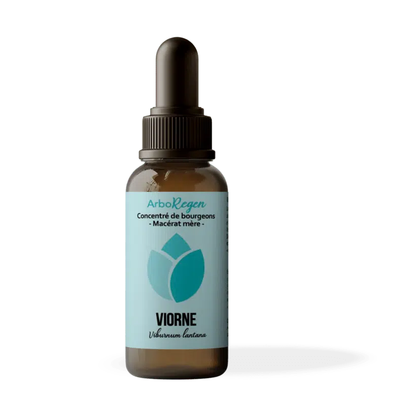 Viorne