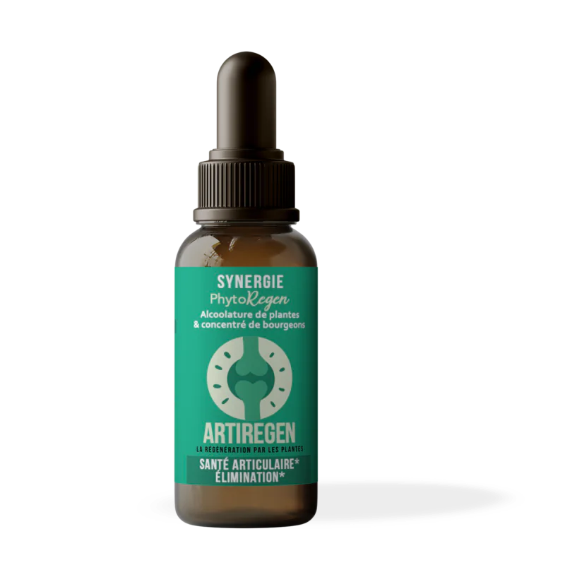 Artiregen