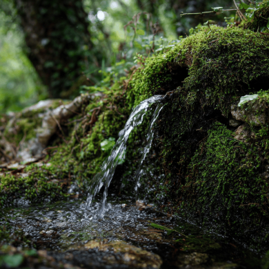 nomadak_36146_imagine_un_petit_filet_deau_sortant_de_la_terre_b5ecd421-4443-456b-a9bd-14c2a46b71e8_0